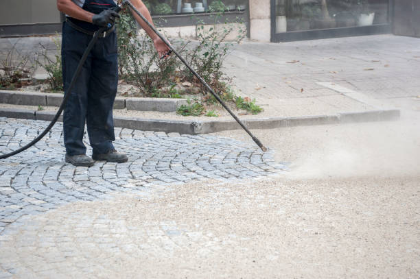 Best Fence Cleaning  in Donaldsonville, LA